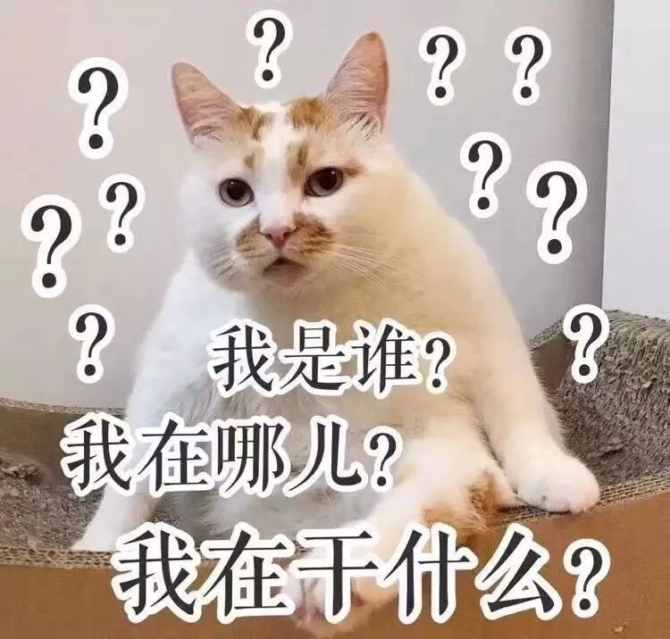 超囧：足球联赛？别骗我了！这是明明是自由搏击比赛好么？