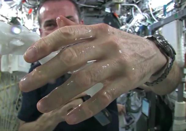 生物可以在太空交配吗？美国曾让老鼠太空受孕，结果有些意外