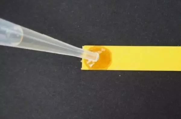 科颜氏金盏花爽肤水有几个版本,科颜氏金盏花爽肤水500ml最低价