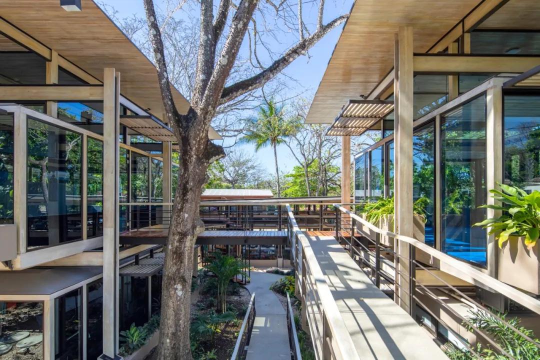 一个完全开放式的林中村落——哥斯达黎加体育中心