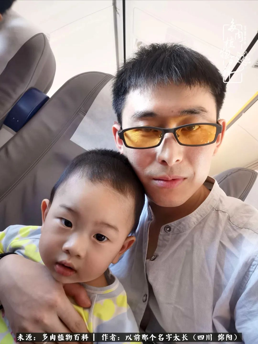 山地玫瑰夏天,山地玫瑰花怎么玩