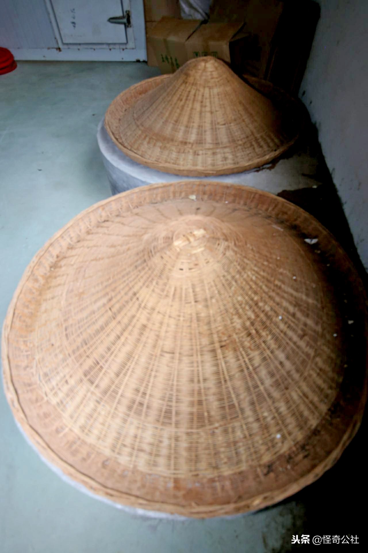 五盖山云雾贡茶历史渊源,高山云雾茶五指山红茶特点