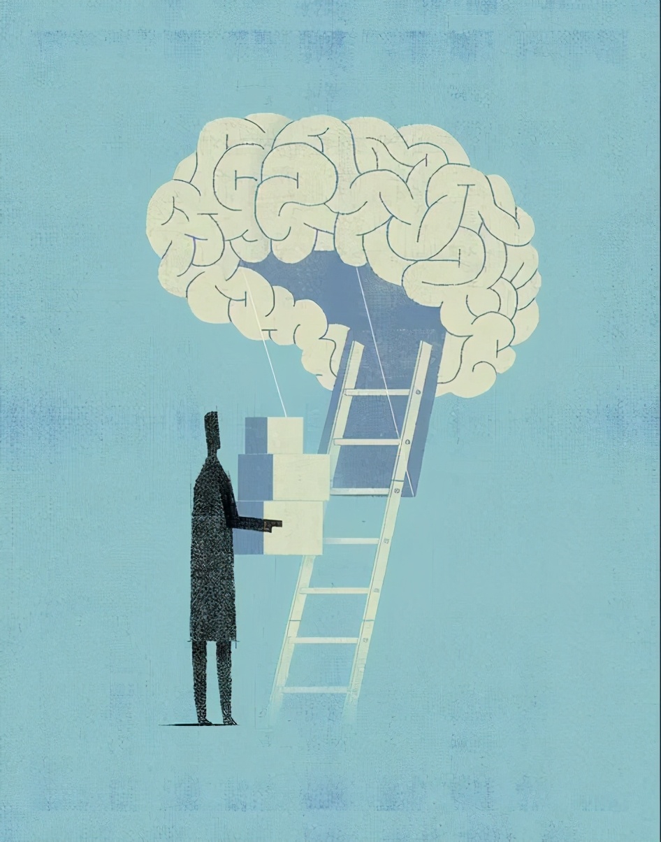 成人大脑神经元视频,人体大脑神经元有多少