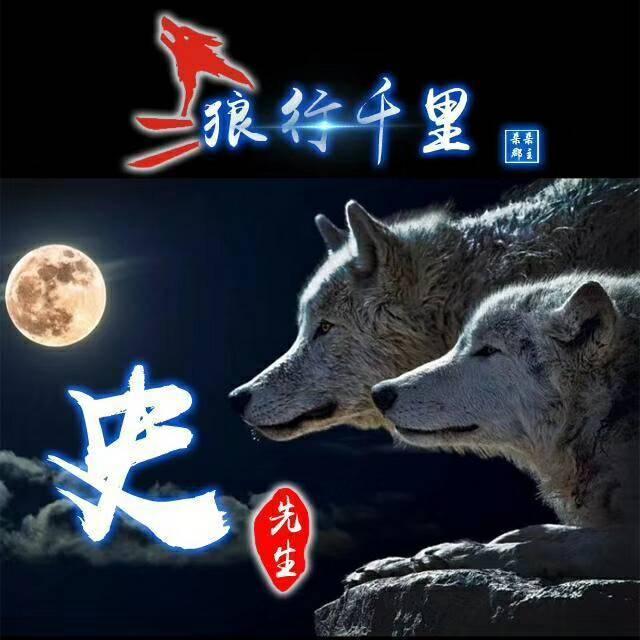 狼励志微信头像,狼的微信头像励志