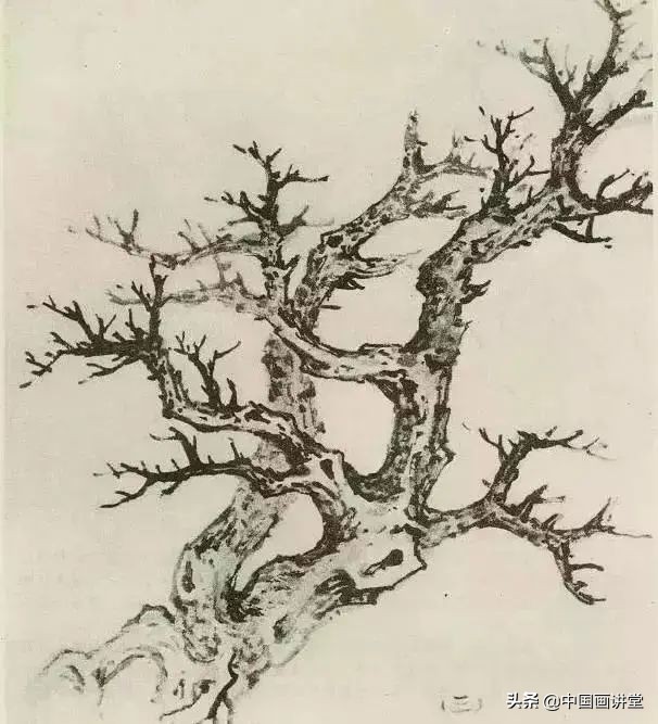 缠枝、挺杆、屈节、钮裂、一棵树如何画?看了这篇你绝对能学会