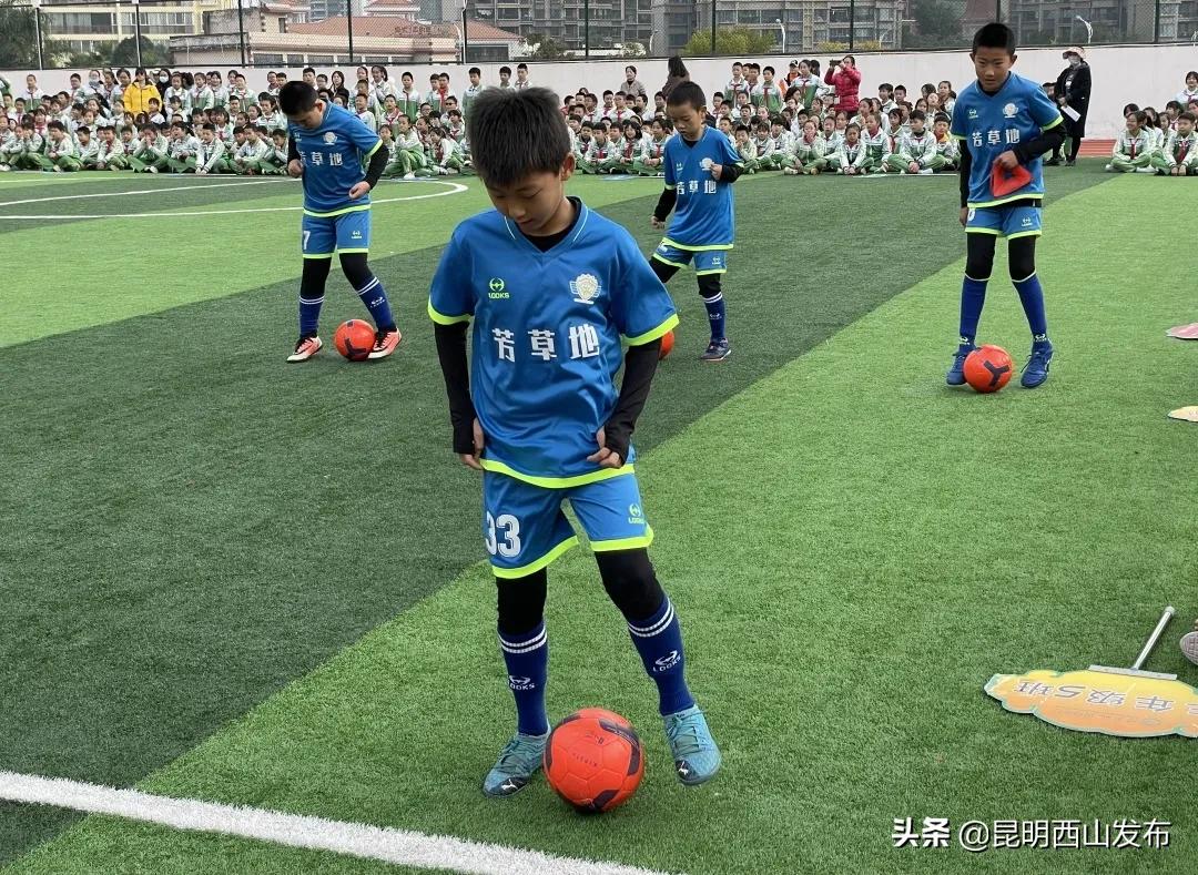 运动健儿在赛场上奋勇拼搏的英姿,奋力拼搏赛出风采