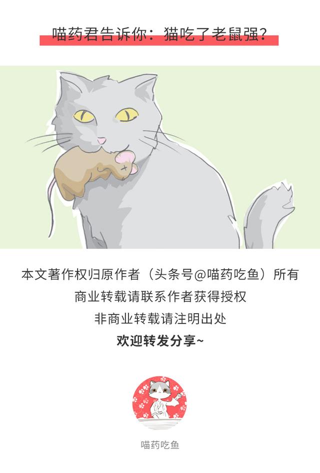 猫咪误食老鼠药怎么处理,猫咪老鼠药中毒怎么解救