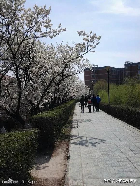信阳最好的5所高中,信阳最好的十所高中