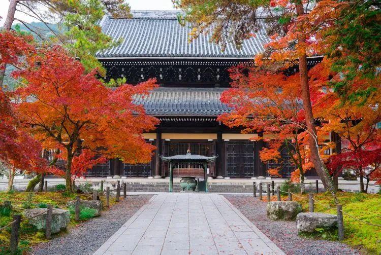 <html>
<head><title>502BadGateway</title></head>
<body>
<center><h1>502BadGateway</h1></center>
<hr><center>nginx</center>
</body>
</html>
<!--apaddingtodisableMSIEandChromefriendlyerrorpage-->
<!--apaddingtodisableMSIEandChromefriendlyerrorpage-->
<!--apaddingtodisableMSIEandChromefriendlyerrorpage-->
<!--apaddingtodisableMSIEandChromefriendlyerrorpage-->
<!--apaddingtodisableMSIEandChromefriendlyerrorpage-->
<!--apaddingtodisableMSIEandChromefriendlyerrorpage-->
