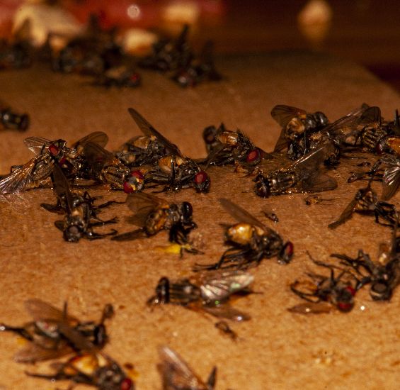 尼康d700怎么拍视频教程,尼康d700带手柄效果如何