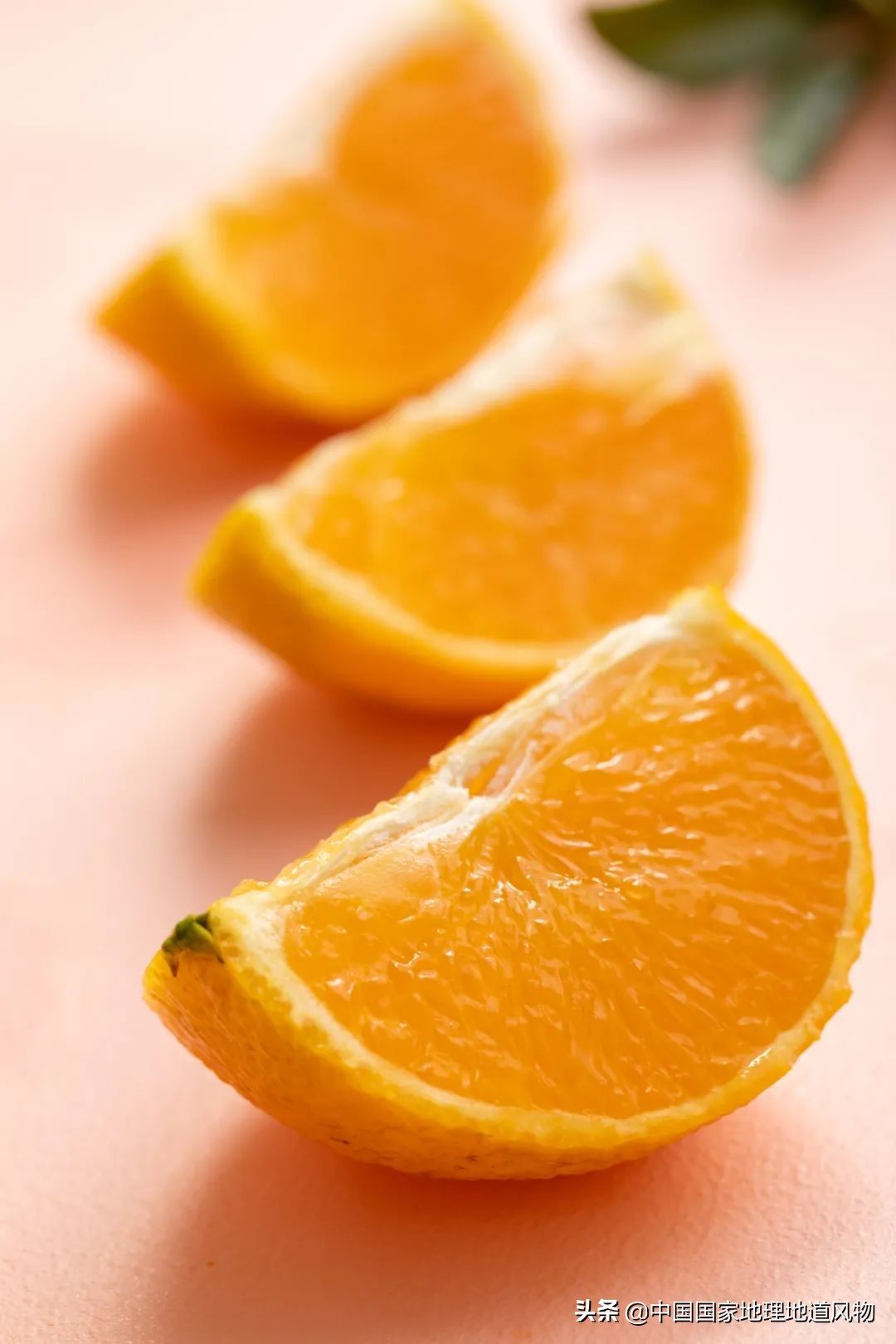 真正的果冻橙到底是皮薄还是厚,什么样的果冻橙好吃