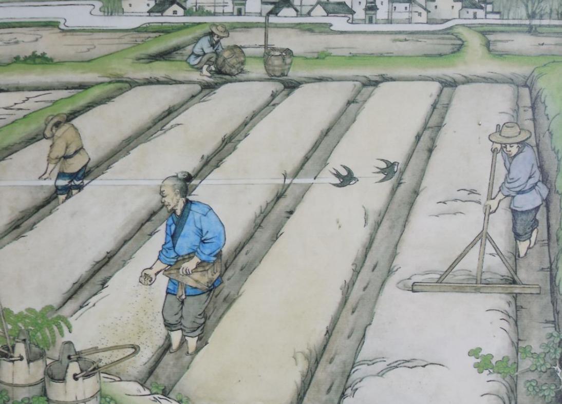 唐朝创新了什么,唐朝变革的重要作用