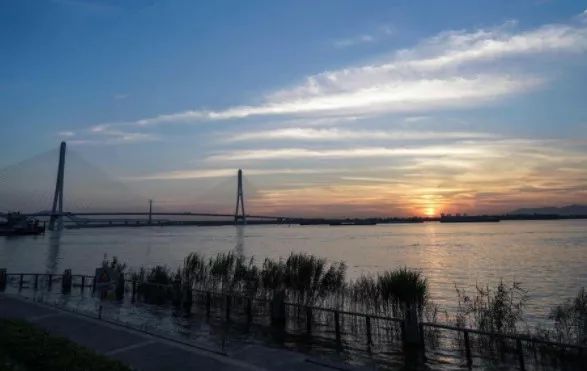 南京免费公园免费开放日一览表,南京免费公园景点推荐