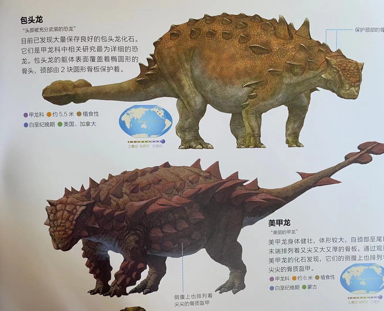 推荐一本儿童看的恐龙百科全书,有关恐龙的科普书籍推荐