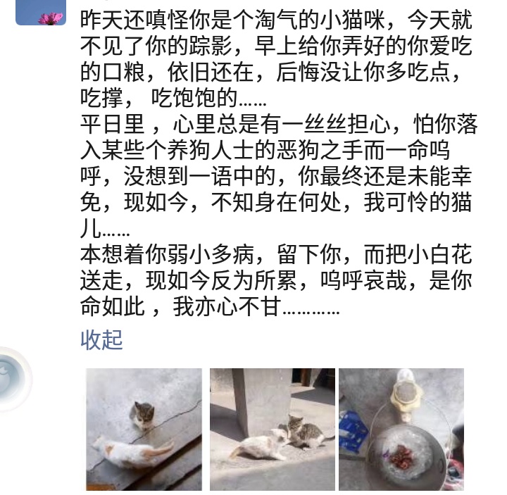 生活随笔作文600字,生活随笔美文