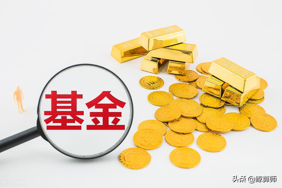 新手小白怎么学基金投资,小白学基金基金定投