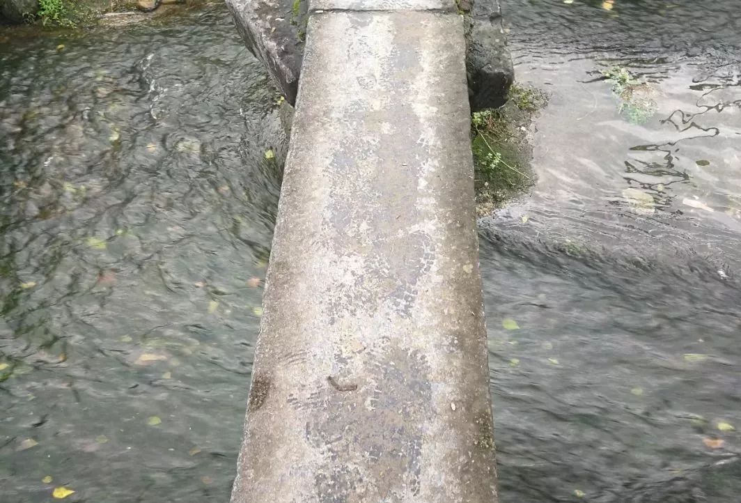 璐哄窞鏄ヨ妭鐗规畩椋庝織,璐哄窞瀹朵埂椋庝織鏂囧寲