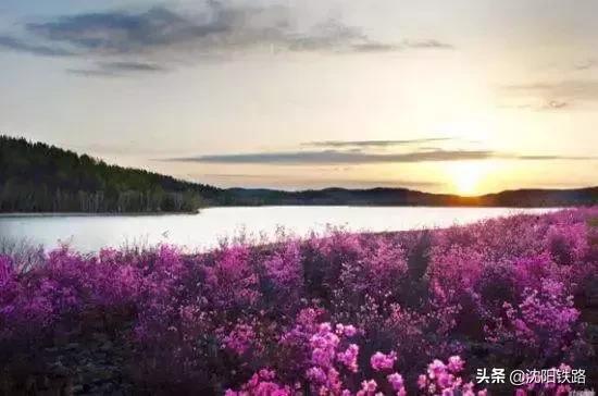 想在家门口享受异域风情吗？来这里，准没错！