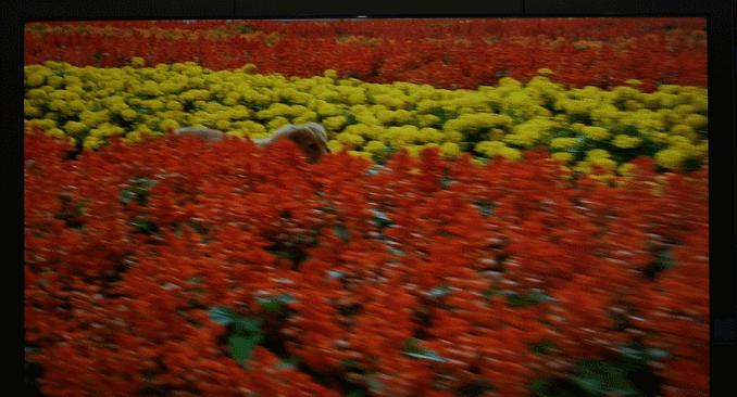 tcl电视98t7e98英寸测评,tcl98寸电视t7e和q6e对比