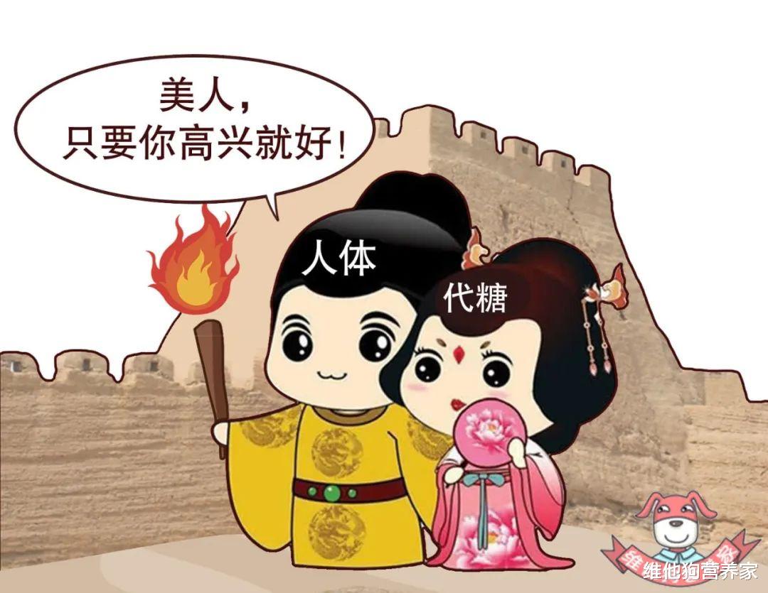 0脂肪0热量代餐零食零糖,0糖0脂肪健康代餐