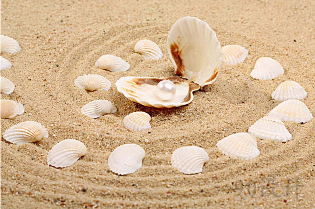 贝壳粉是违禁品吗,贝壳粉装修的利弊