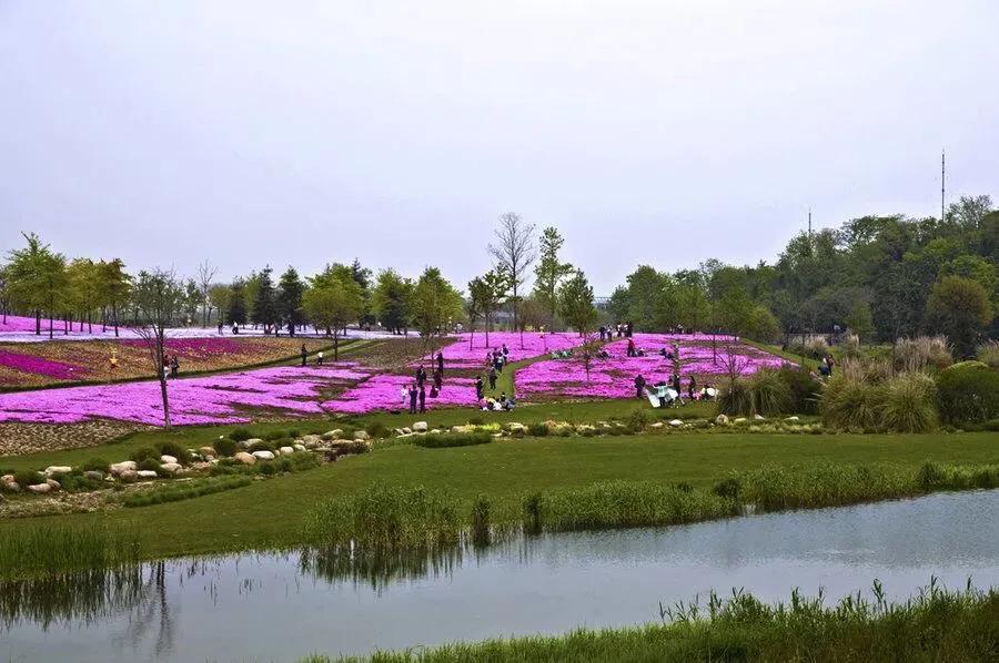 上海站到上海新国际博览中心地铁,上海地铁沿线景点排名