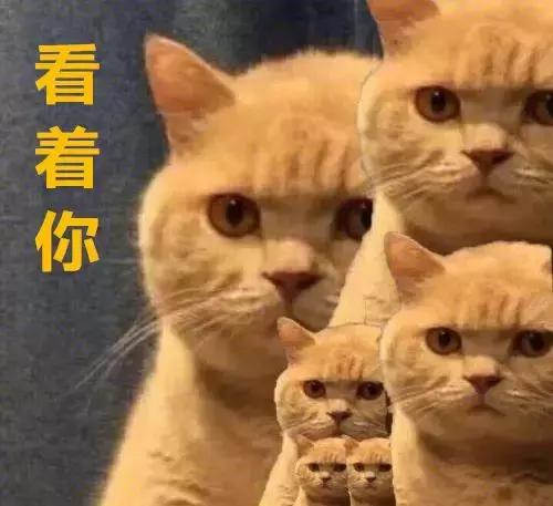 安全隐患大整治百日攻坚我先行,安全整治百日专项行动