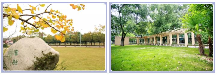 武汉外语外事职业学院可以进出吗,武汉外语外事职业学院出国