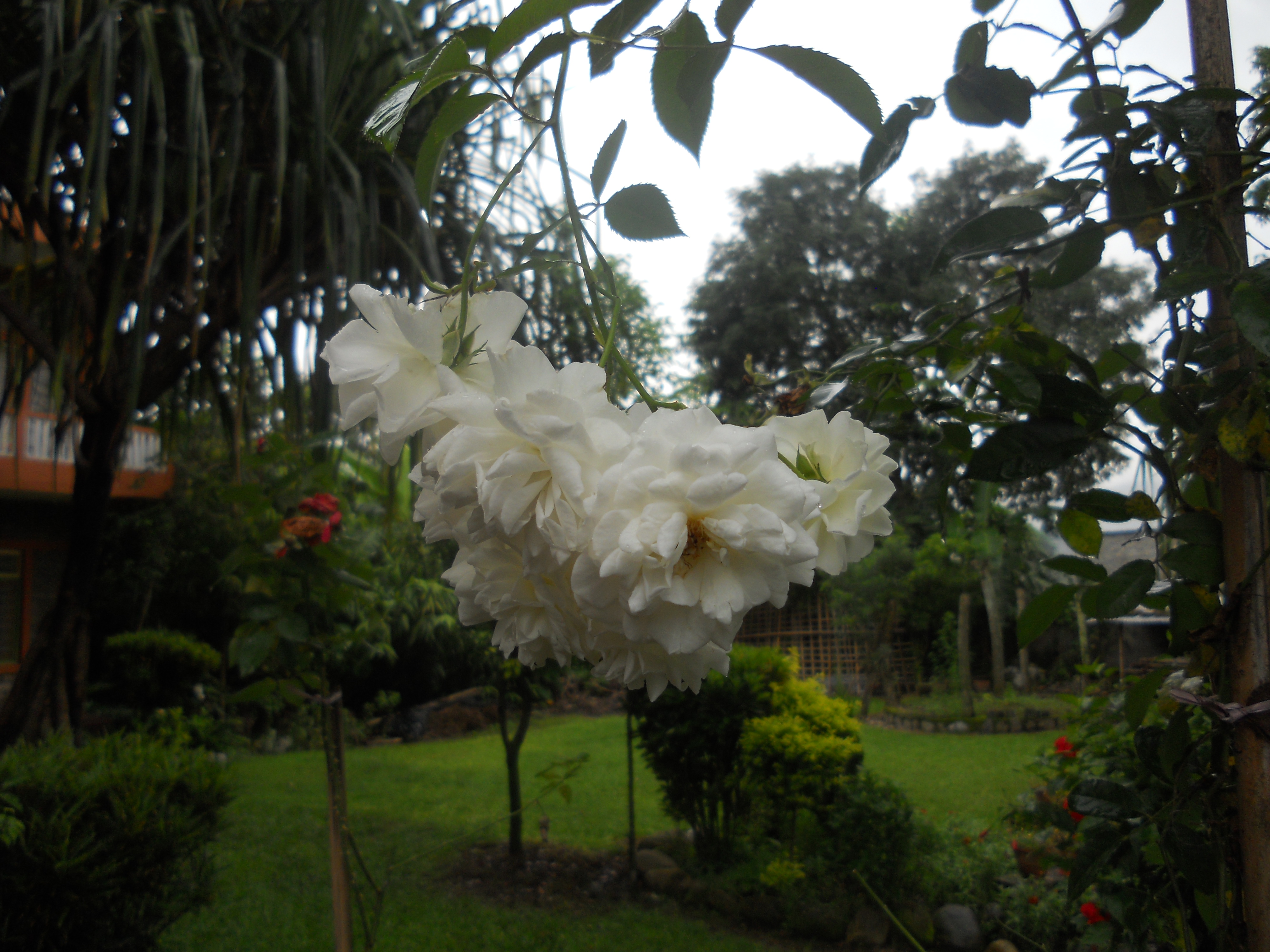 中国的后花园是指哪里,尼泊尔之游