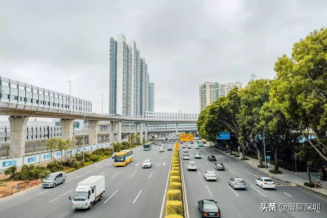 深圳空气中氡含量全国第一,深圳市负氧离子大概是多少