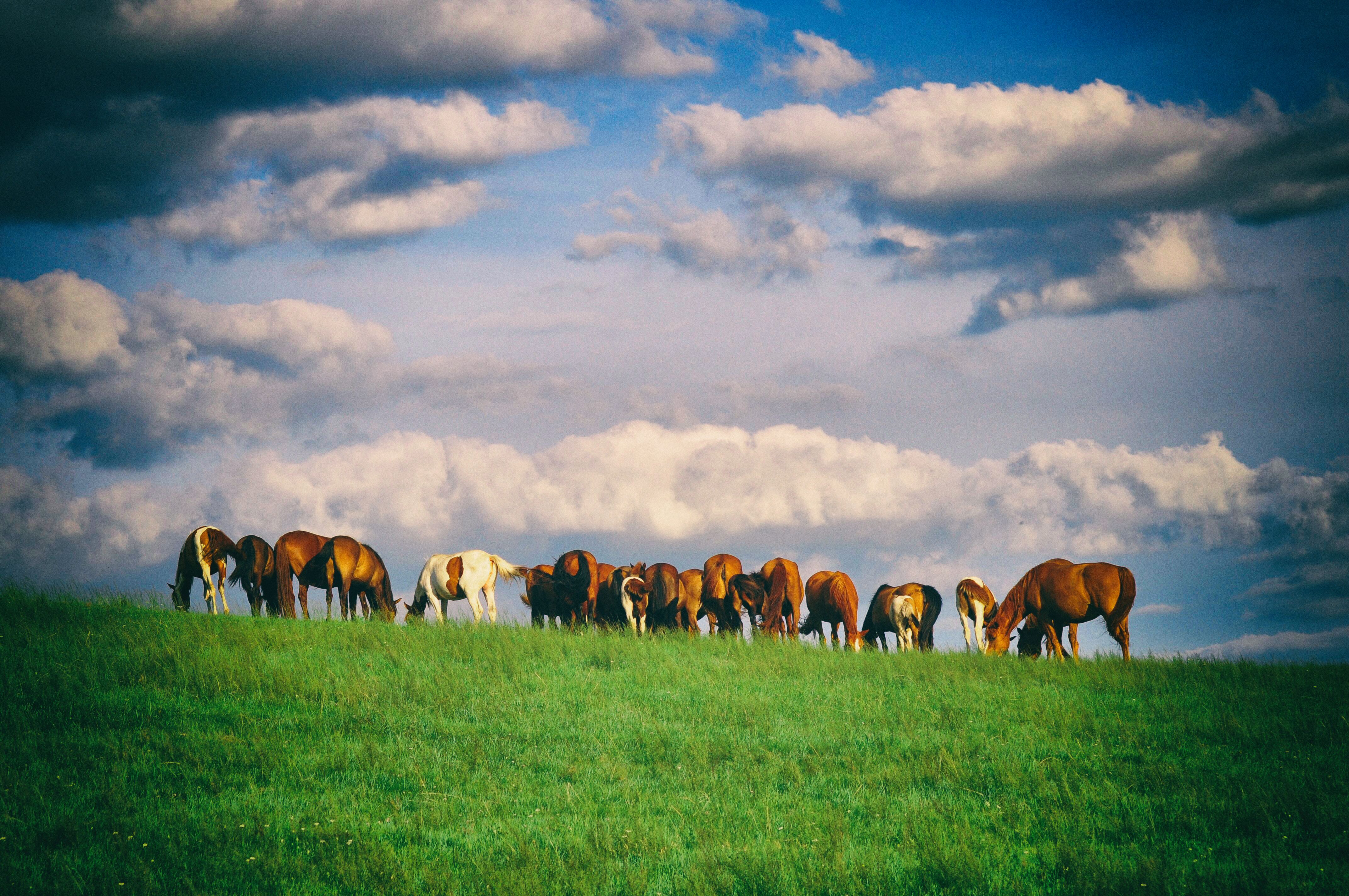 东北游记攻略,东北游记最新视频
