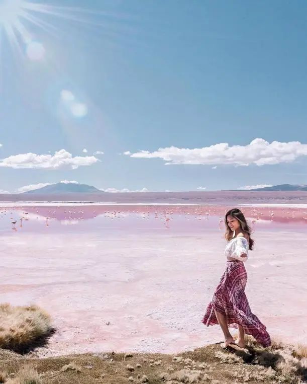 世界还有没确诊的国家,全球仅剩的4个零确诊的国家