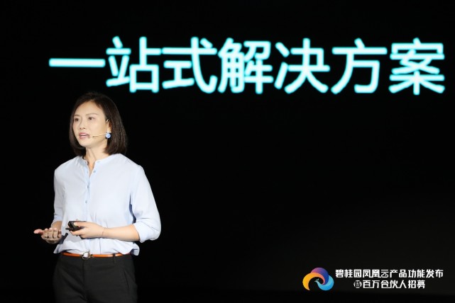 碧桂园凤凰云操作指南,碧桂园凤凰云实际优惠