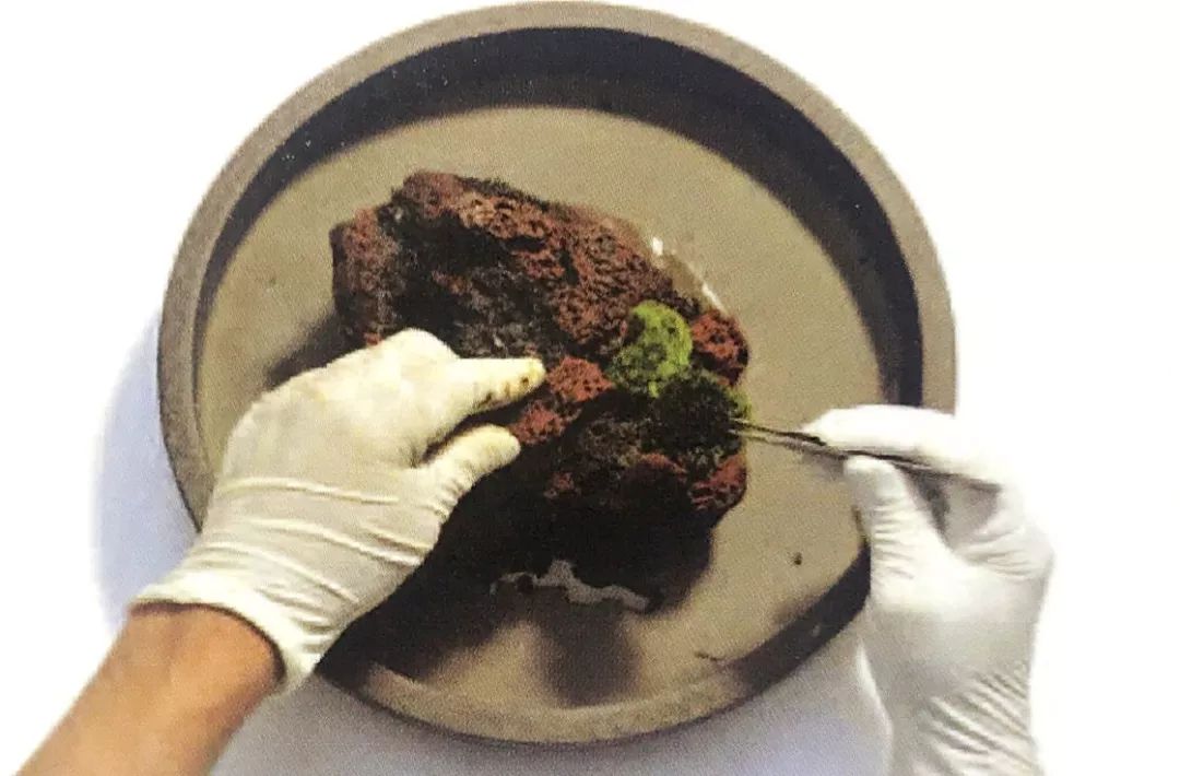 看九张水上的苔藓盆景制作过程图,叹一声“苔藓伊人,在水一方”