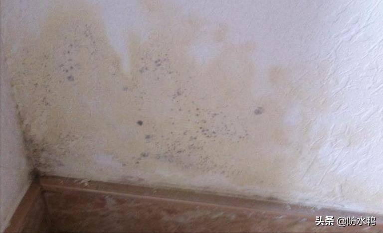 墙面返潮怎么解决,墙面返潮怎么补救