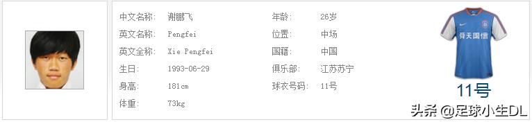 中超队魂之苏宁,中超赛场苏宁