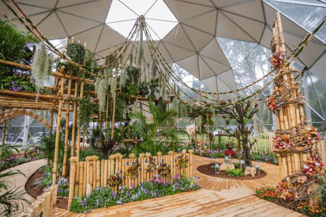 未来10天预警，深圳最最最最火的地方在这里，美女都赶来打卡