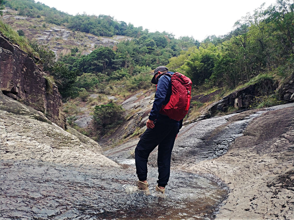 双十一买买买后的我,双十一开始剁手了吗