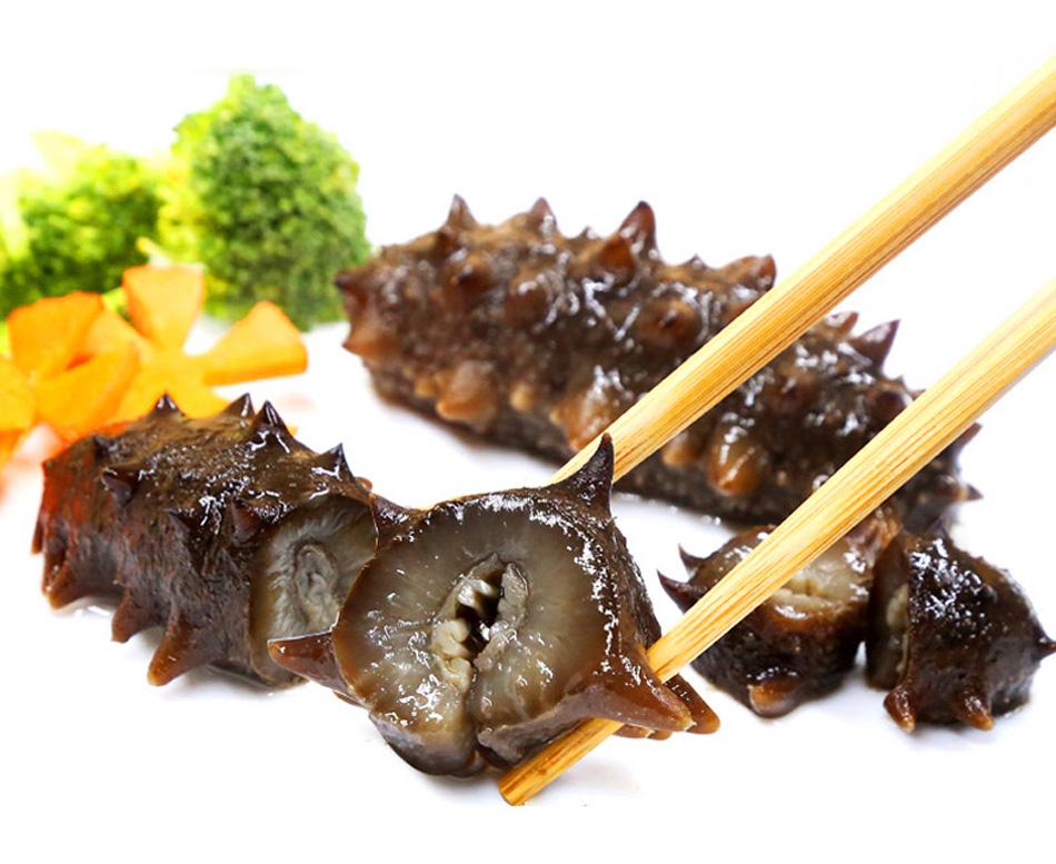 海参产地源头,海参产地