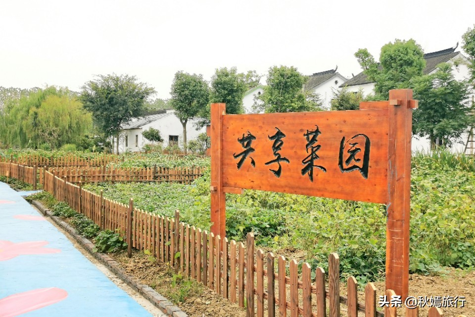 常熟虞山特色饭店推荐,常熟铜官山十大菜