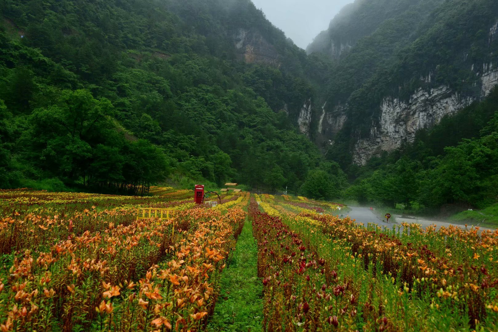 六月回忆童年,六月回忆母校