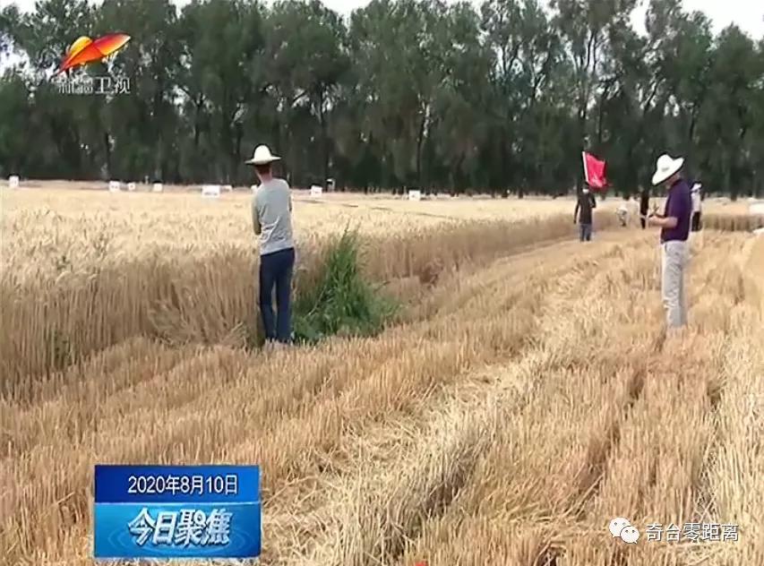 关于做好六稳六保工作的提示函,用心用情用力落实六稳六保