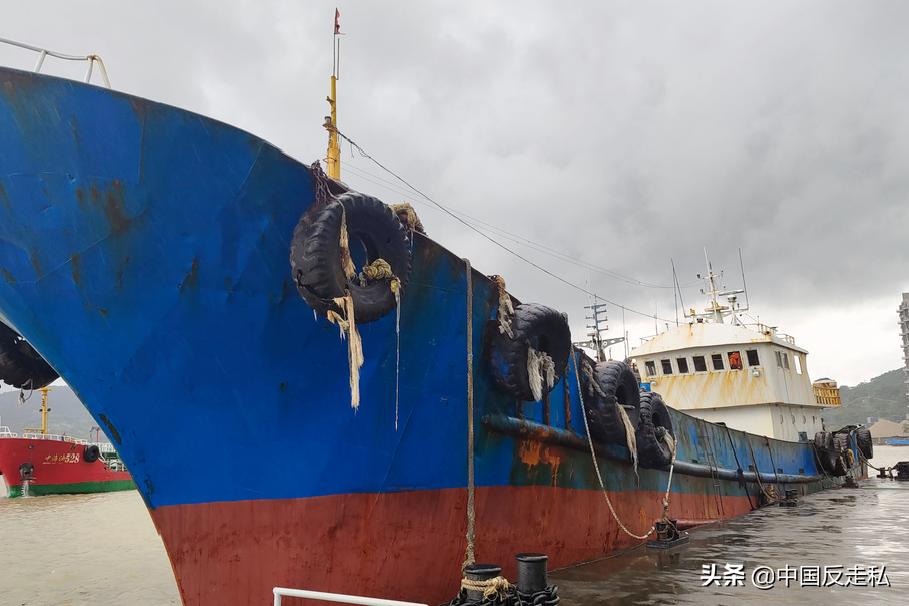 国门利剑2023,国门利剑打击汽车走私