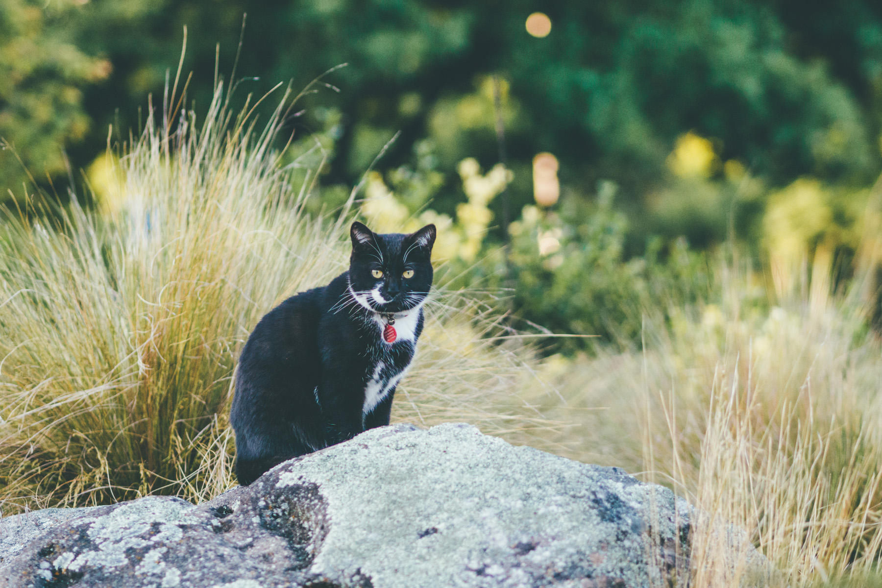 拍摄旅行vlog需要哪些设备,新手拍旅游vlog用什么设备