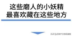 登革热夺走20多条生命,登革热是典型的儿童疾病吗