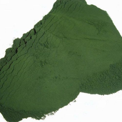 泰迪犬一般吃什么狗粮比较好吃,泰迪犬适合吃什么