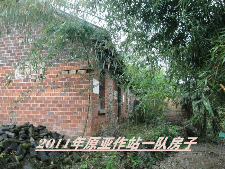 难以释怀的知青情结,60年代的知青情结