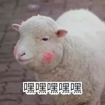 那些年我们笑的撕心裂肺,那些年我们开怀大笑