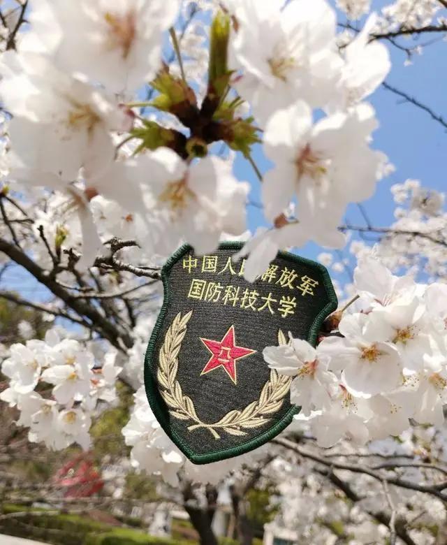 在别的城市上大学真的好吗,去哪个城市上大学最舒服