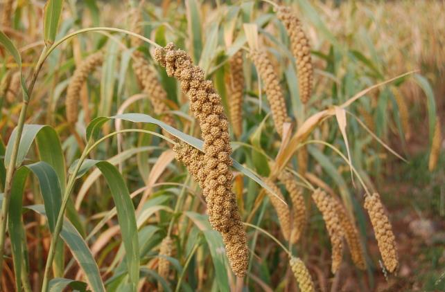 人类原始祖先的生活方式,远古时代我们的祖先怎么生活